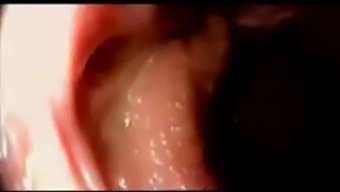 Cum Inside A Vagina Part Ii