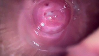 Close-Up Video Of Deep Penetration In A Young Girl'S Vagina