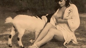 Classic Erotica: Taboo, Vintage, And Retro Pussy And Pooch