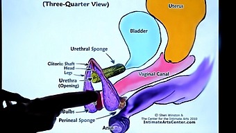 Second Lesson On Female Ejaculation Techniques
